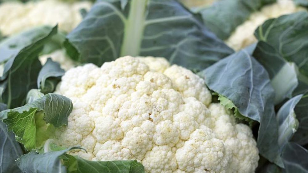 Chou-fleur. © Pixabay